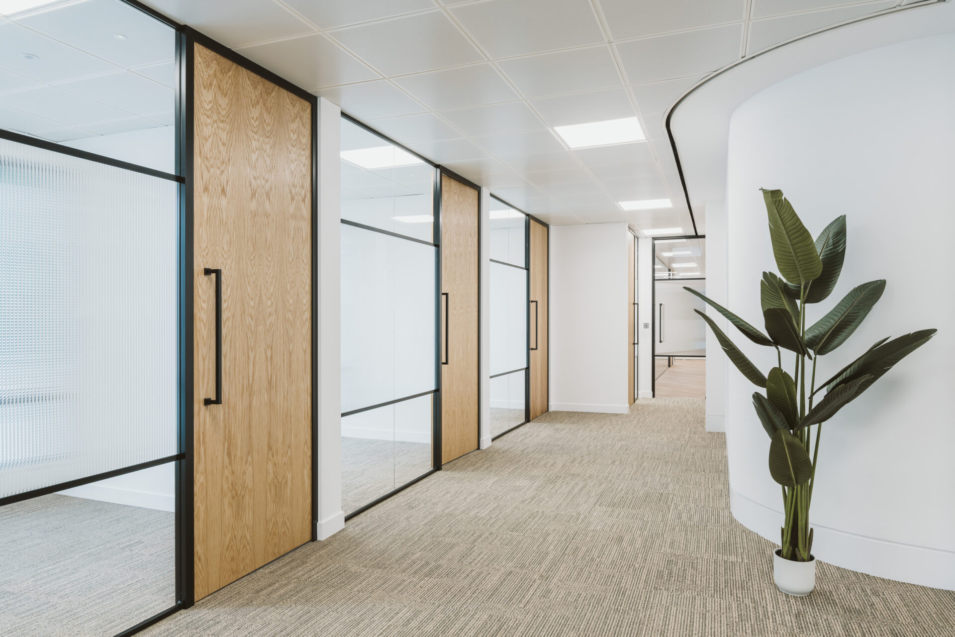 Wide shot of NSFO new london office after fit out