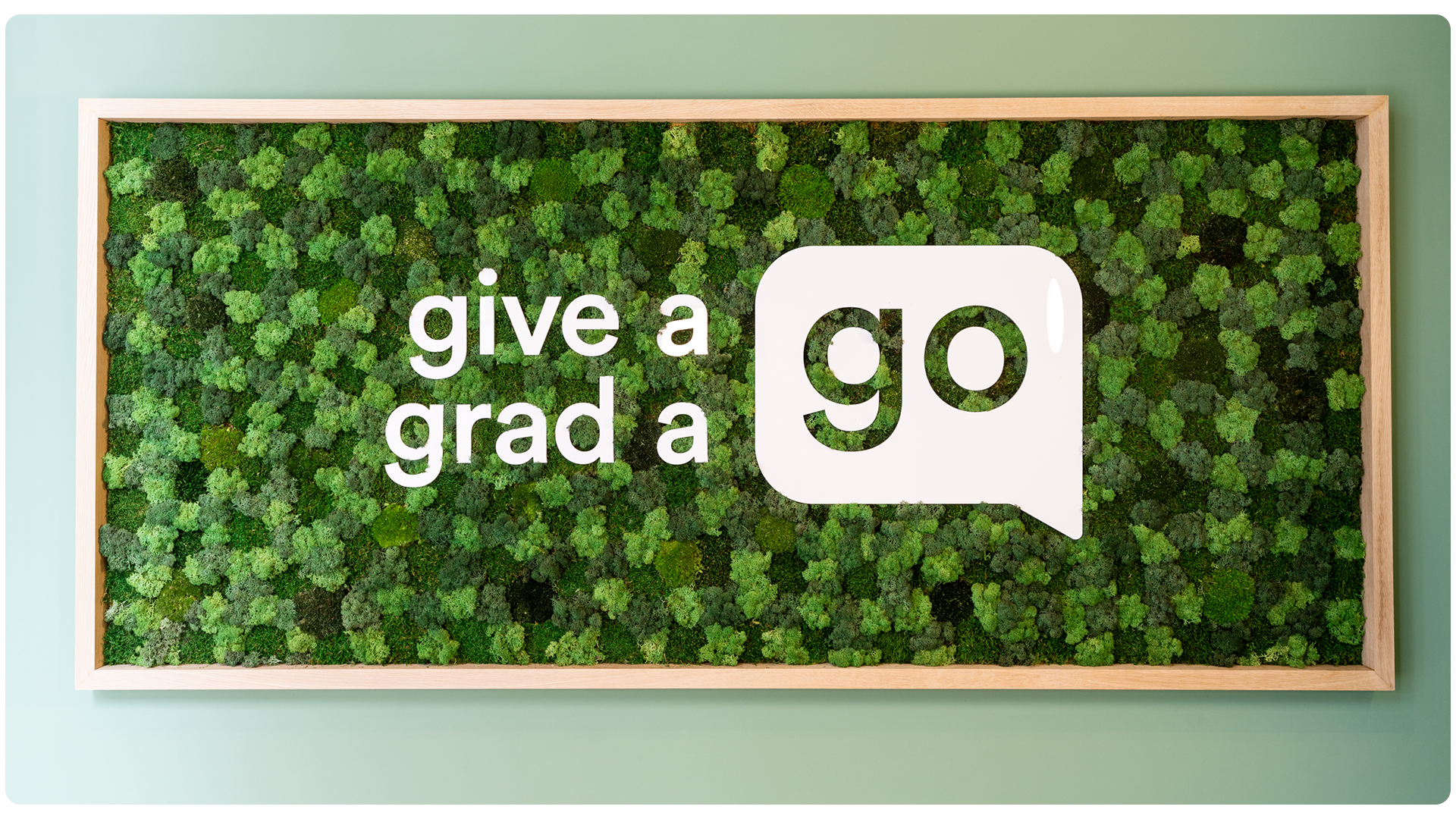 Bespoke branded moss wall for Give a Grad a Go