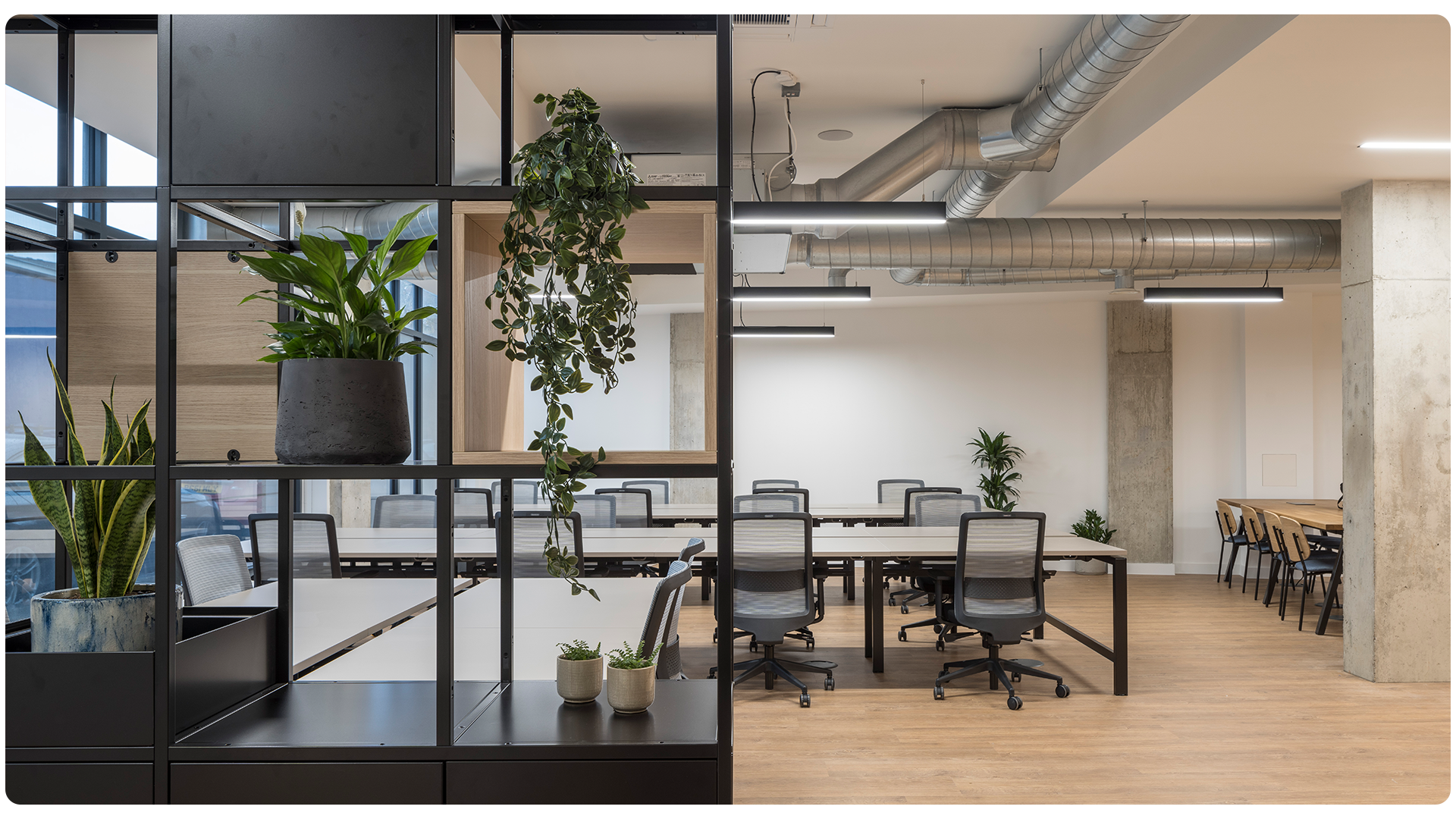 Plants and natural finishes in office space